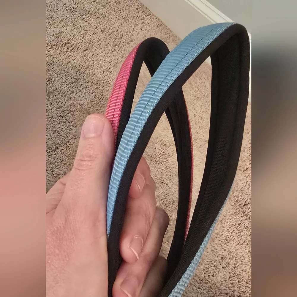 2 Voyager Dog Leashes - Pink And Blue (1206)